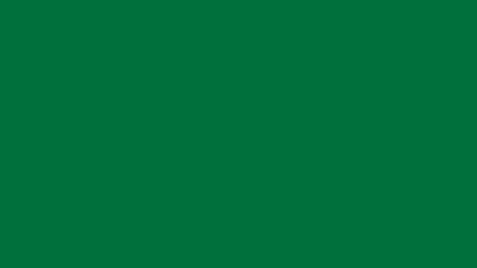 Fundo Verde Principal